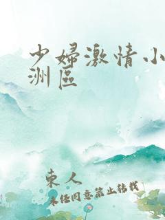 少妇激情小说亚洲区