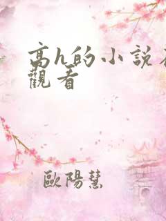 高h的小说在线观看