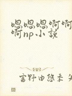 嗯嗯嗯啊啊啊啊啊np小说