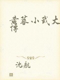 黄蓉小武大武后传