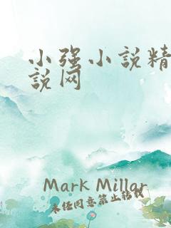 小强小说精品小说网