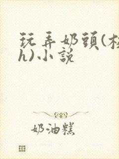玩弄奶头(校园h)小说