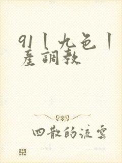 91丨九色丨国产调教