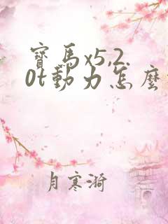 宝马x5,2.0t动力怎么样