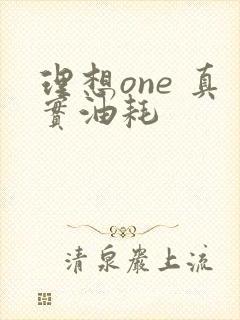 理想one 真实油耗