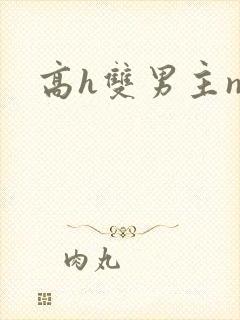 高h双男主np