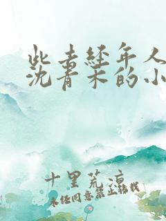 此去经年人未还沈青禾的小说 此去经年人未还沈青禾的小说