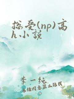 总受(np)高h小说