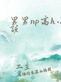 男男np高h小说