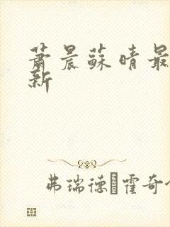 萧晨苏晴最新更新