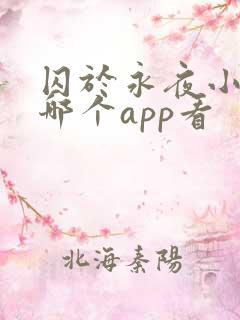 囚于永夜小说在哪个app看