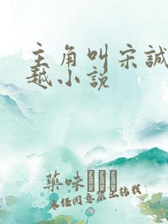 主角叫宋诚的穿越小说