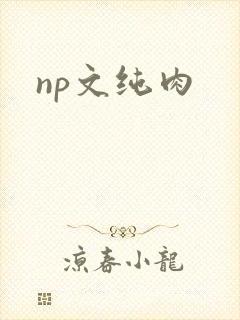 np文纯肉