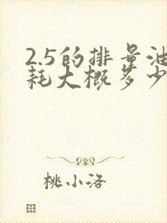 2.5的排量油耗大概多少