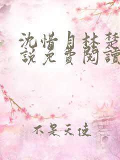 沈惜月林楚轩小说免费阅读最新章节