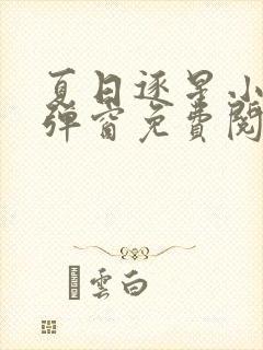 夏日逐星小说无弹窗免费阅读全文