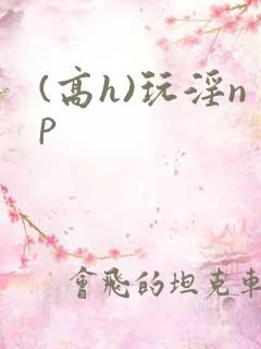 (高h)玩淫np (高h)玩淫np