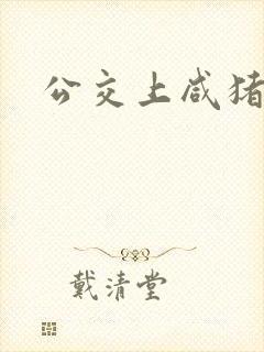 公交上咸猪手