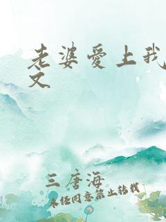 老婆爱上我朱亚文