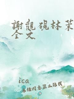 谢观砚林茉阅读全文