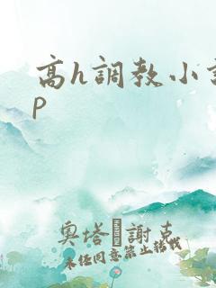 高h调教小说np