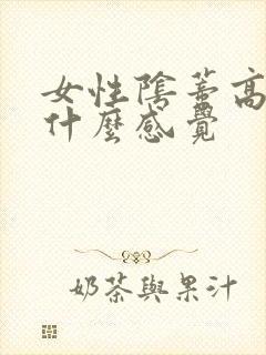 女性阴蒂高潮是什么感觉