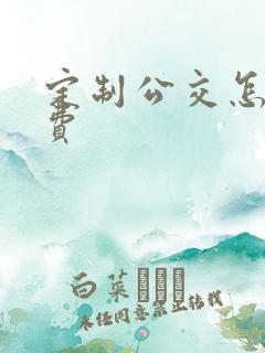 定制公交怎么收费