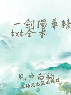 一剑独尊精校版txt全本