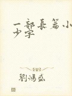一部长篇小说多少字