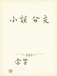 小说 公交