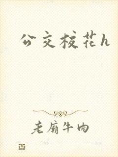 公交校花h