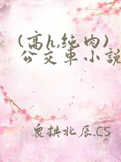 (高h,纯肉)公交车小说 (高h,纯肉)公交车小说