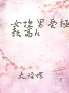 女攻男受极限调教高h