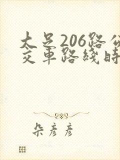 大足206路公交车路线时间表