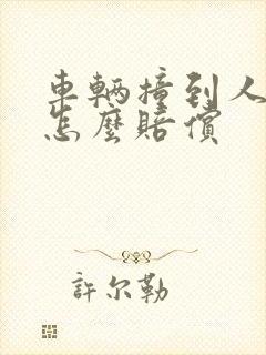 车辆撞到人保险怎么赔偿