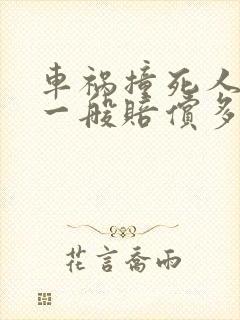 车祸撞死人个人一般赔偿多少钱