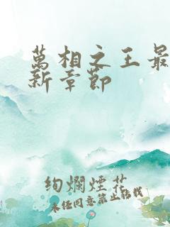 万相之王最新更新章节