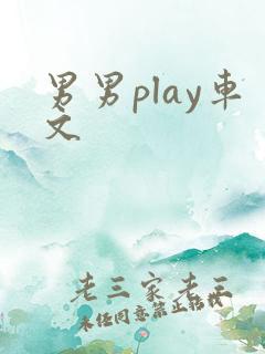 男男play车文