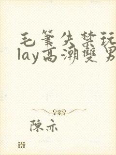 毛笔失禁玩弄play高潮双男主小说