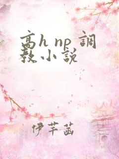 高h np 调教小说 高h np 调教小说
