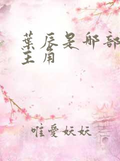 叶辰是哪部小说主角