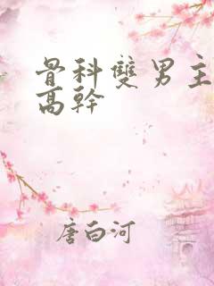骨科双男主年上高干