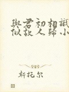 与君初相识·恰似故人归小说