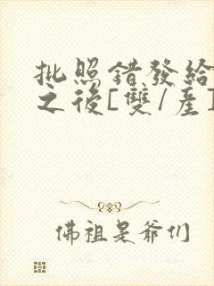 批照错发给情敌之后[双/产]