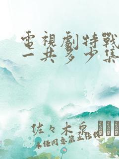 电视剧特战荣耀一共多少集
