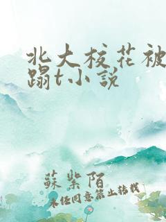 北大校花被强糟蹋t小说
