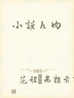 小说 h 肉