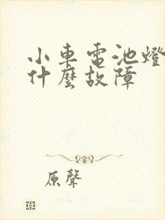 小车电池灯亮是什么故障