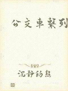 公交车系列小说