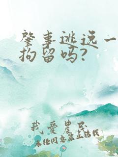 肇事逃逸一定要拘留吗?